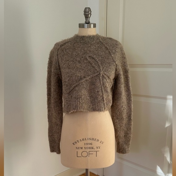 American Eagle Outfitters Sweaters - American Eagle Brown Bow Cropped Sweater